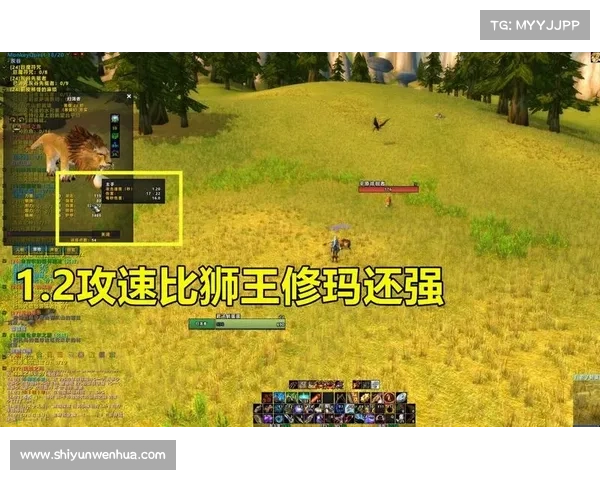 魔兽世界怀旧服宠物等级突破极限,攀登巅峰 魔兽世界怀旧服宠物等级突破极限,攀登巅峰