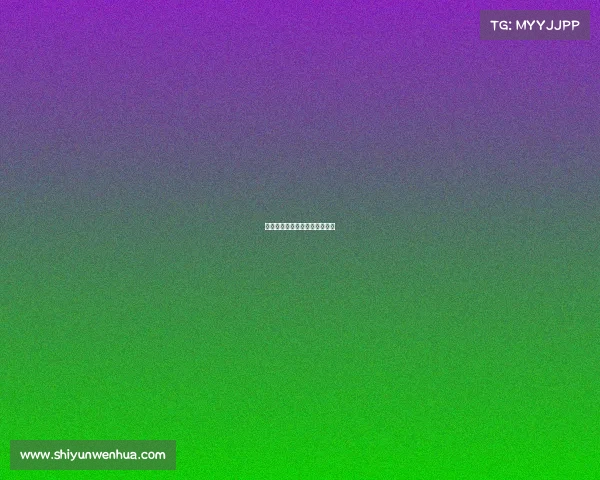 海南征途电子竞技有限责任公司